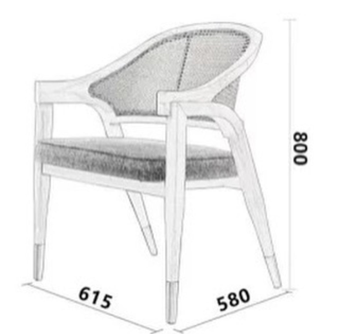 ALETTA DINING CHAIR 116